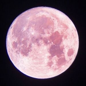 Meet your Posher, Lara